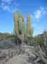 Baja2003 - 021